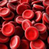 Приложение для определения группы крови