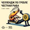 Челлендж по гребле от Rock the Cycle и «Честной Рыбы»