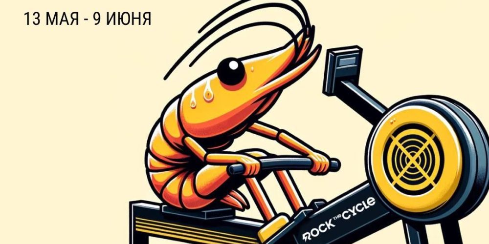 Челлендж по гребле от Rock the Cycle и «Честной Рыбы»