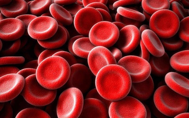 Приложение для определения группы крови