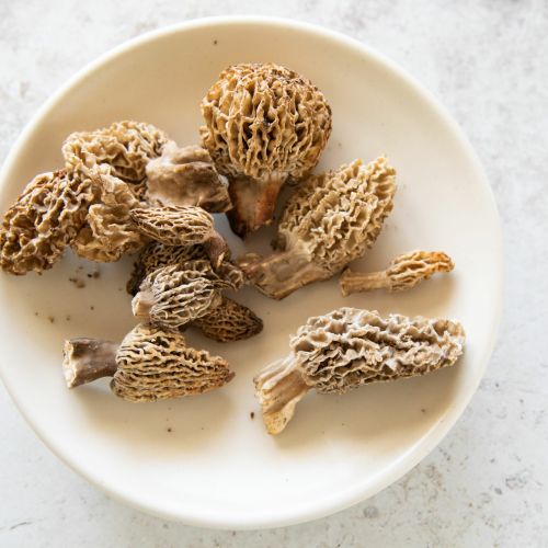 Деликатесный гриб <br> Рецепты из сморчков